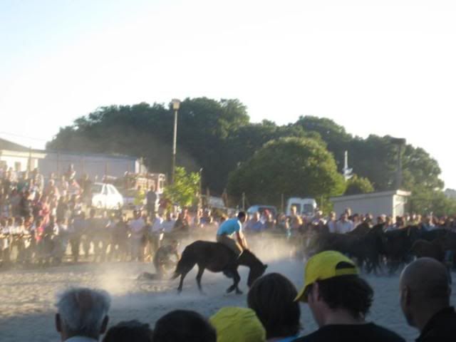 feira do cabalo