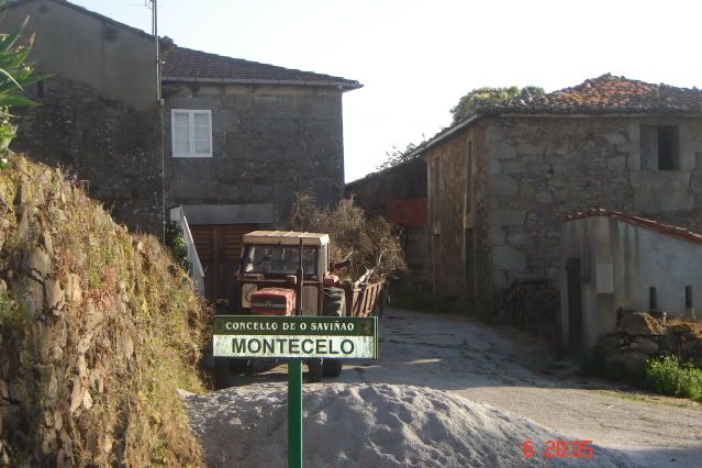 montecelo