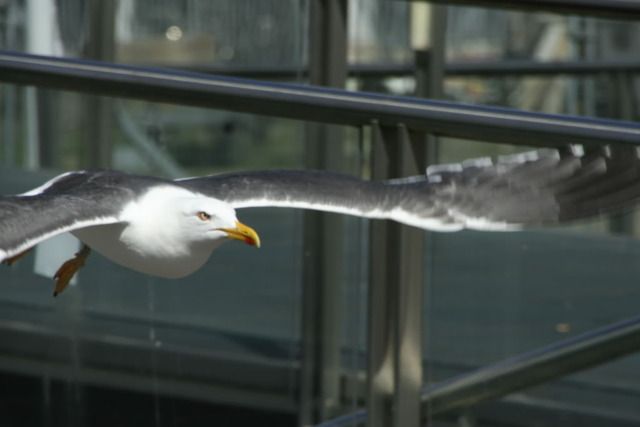 Fotografie