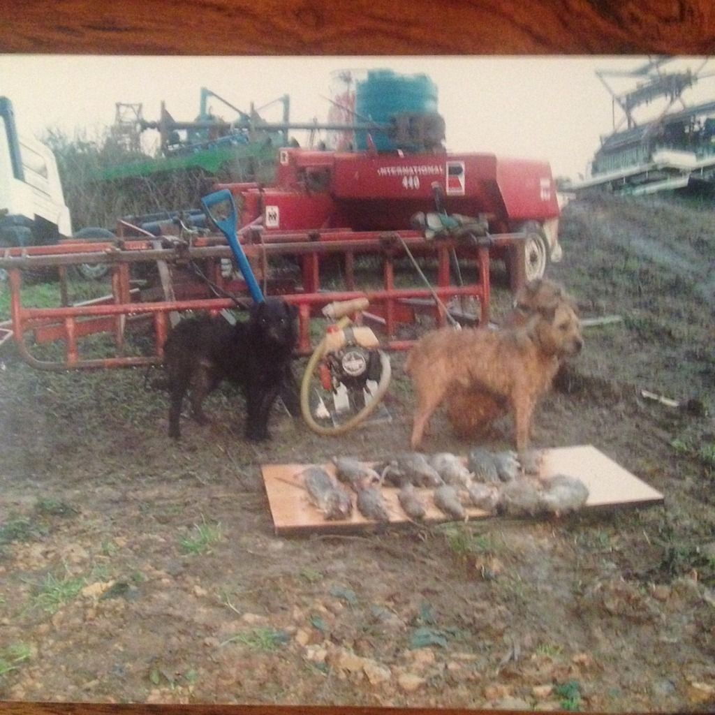 2CD3614C-20EE-4056-A885-5AAA09E0E6E0_zps