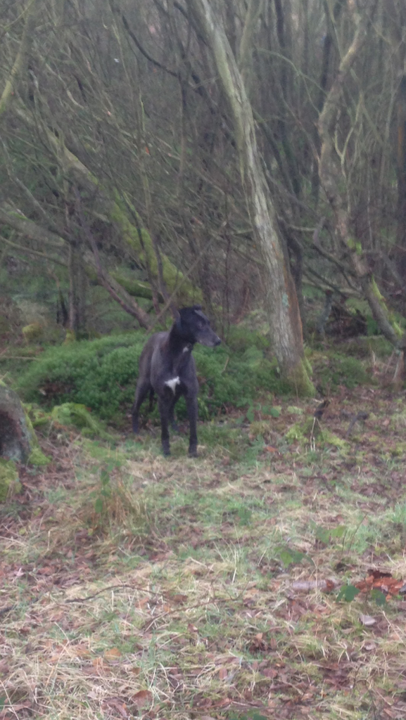 B1C144BA-336A-4C62-94E4-91C62EEC21B8_zps