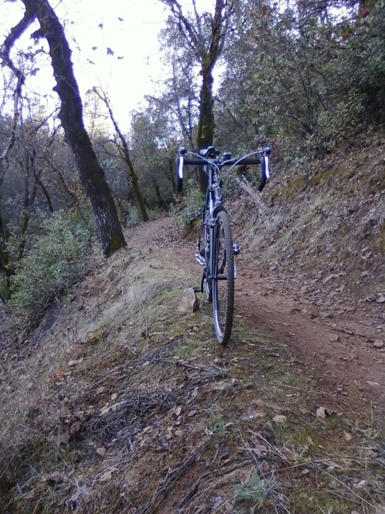 mountain bike single track near me