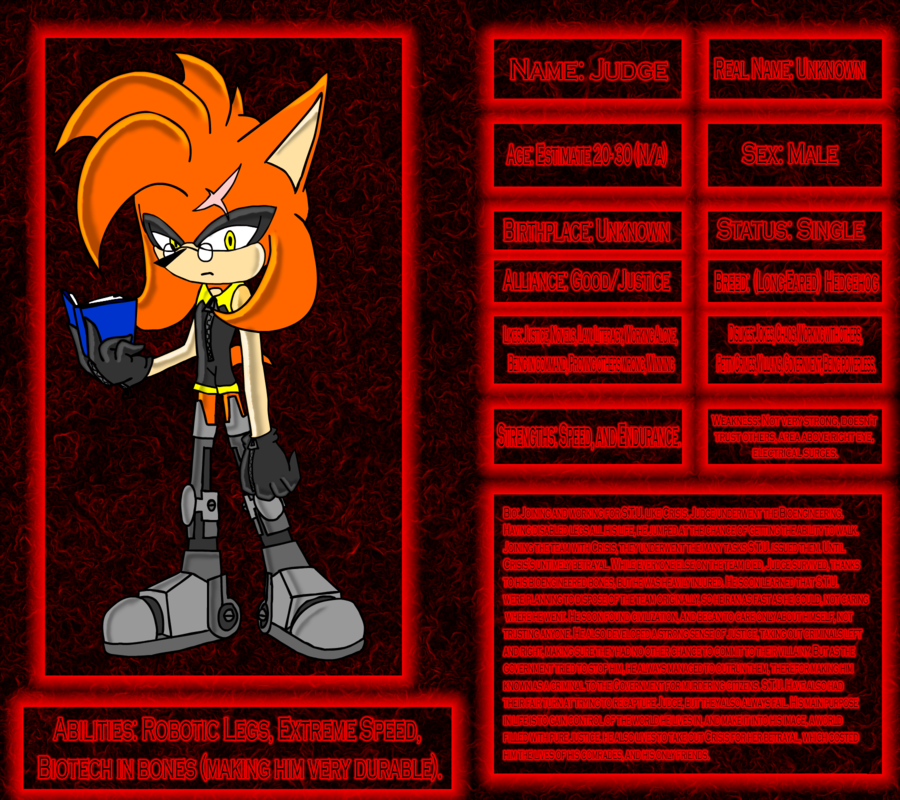 ce__judge_the_hedgehog_by_zepavil-d4xawsy_zps105fa809.png