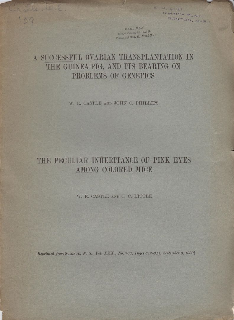A Successful Ovarian Transplantation in the Guinea-Pig, and its Bearing on Problems of Genetics; The Peculiar Inheritance of Pink Eyes Among Colored Mice, Castle, W.E. John C. Phillips C. C. Little A Successful Ovarian Transplantation in the Guinea-Pig, and its Bearing on Problems of Genetics; The Peculiar Inheritance of Pink Eyes Among Colored Mice, Castle, W.E. John C. Phillips C. C. Little