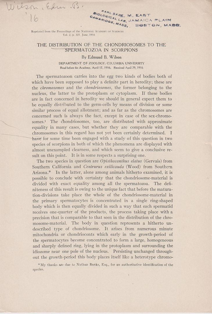 The Distribution of the Chondriosomes to the Spermatozoa in Scorpions, Wilson, Edmund B. The Distribution of the Chondriosomes to the Spermatozoa in Scorpions, Wilson, Edmund B.