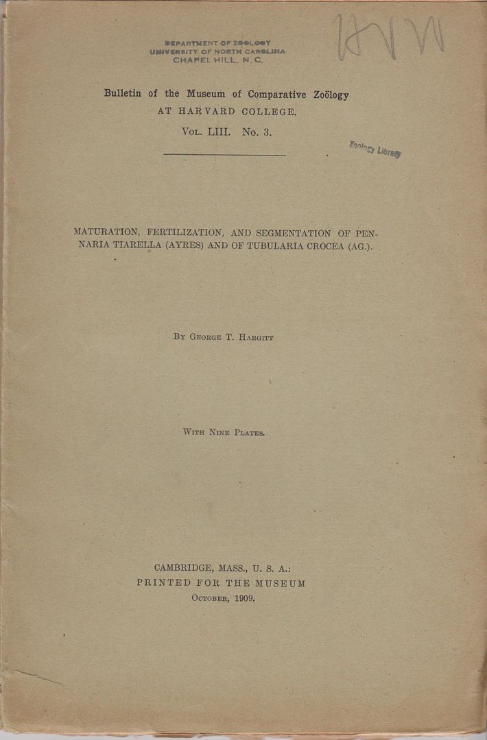 Maturation, Fertilization, and Segmentation of Pennaria Tiarella (Ayres) and of Tubularia Crocea (Ag.), Hargitt, George T. George Thomas Hargitt Maturation, Fertilization, and Segmentation of Pennaria Tiarella (Ayres) and of Tubularia Crocea (Ag.), Hargitt, George T. George Thomas Hargitt