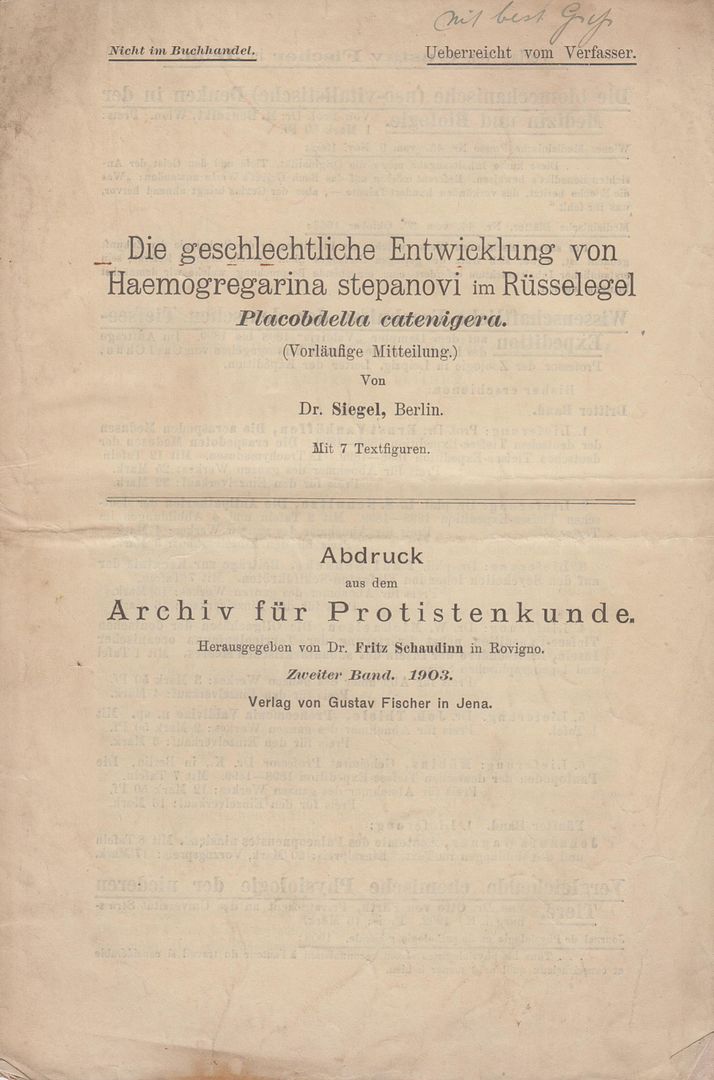 Die geschlechtliche Entwicklung von Haemogregarina stepanovi im Russelegel Placobdella catenigera (Vorlaufige Mitteilung), Siegel, Dr. Die geschlechtliche Entwicklung von Haemogregarina stepanovi im Russelegel Placobdella catenigera (Vorlaufige Mitteilung), Siegel, Dr.