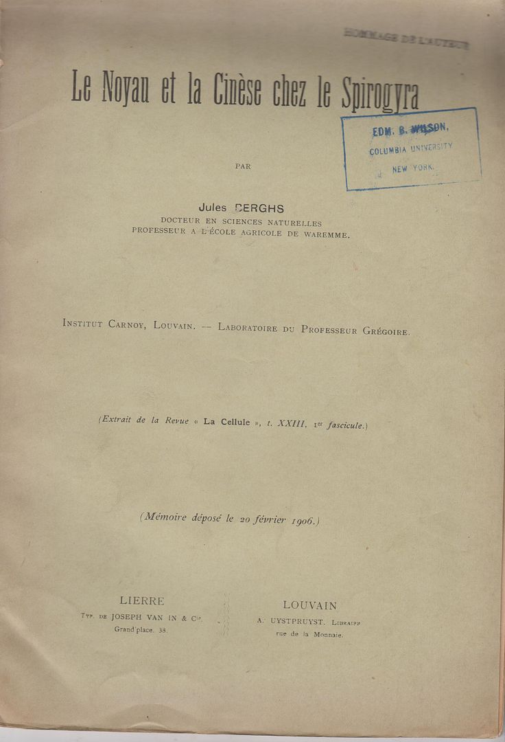 Le Noyan et la Cinese chez le Spirogyra, Berghs, Jules Le Noyan et la Cinese chez le Spirogyra, Berghs, Jules