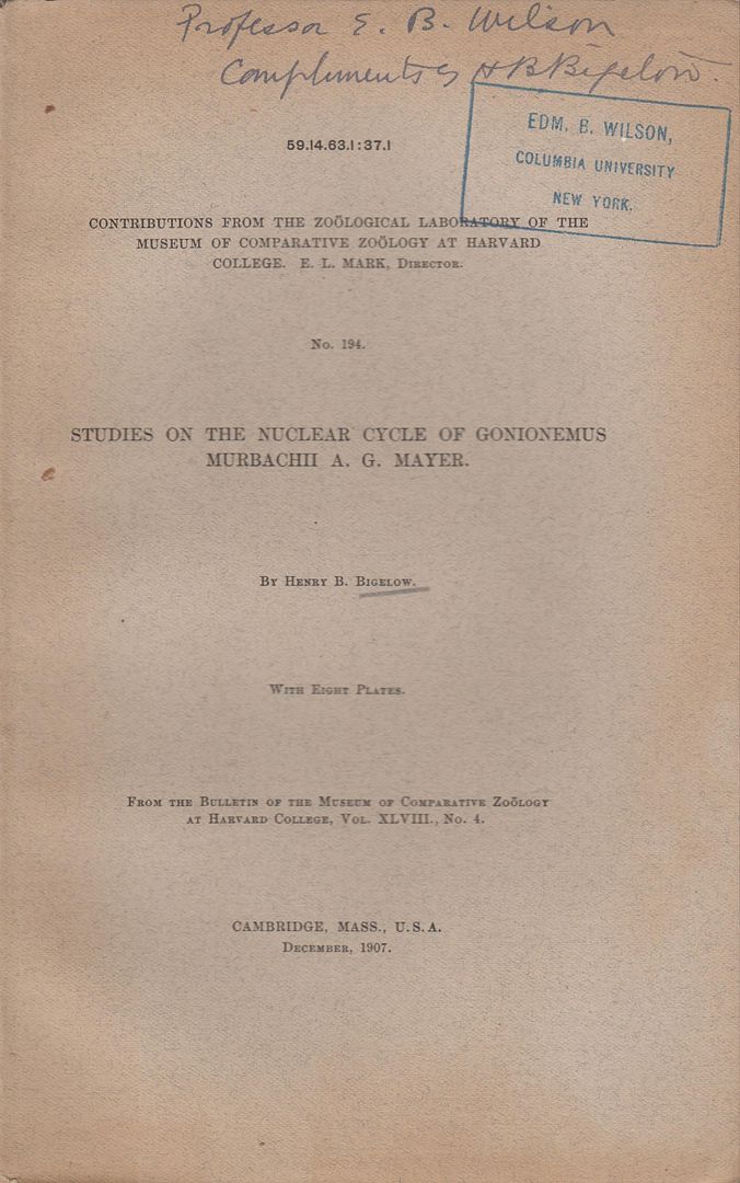 Studies on the Nuclear Cycle of Gonionemus Murbachii A.G. Mayer, Bigelow, Henry B. Studies on the Nuclear Cycle of Gonionemus Murbachii A.G. Mayer, Bigelow, Henry B.