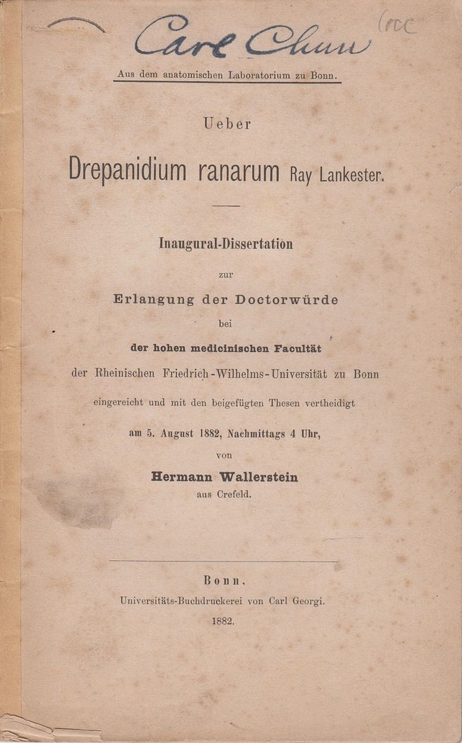 Ueber Drepanidium ranarum Ray Lankester, Wallerstein, Hermann Ueber Drepanidium ranarum Ray Lankester, Wallerstein, Hermann