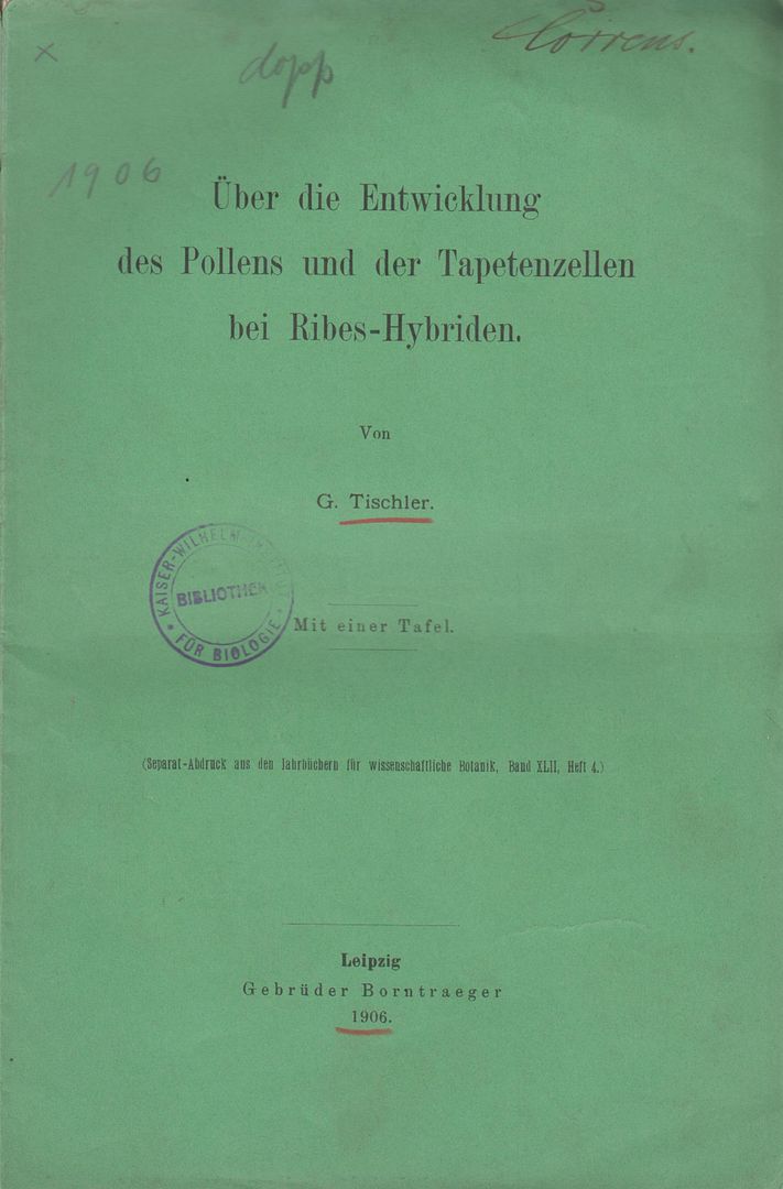 Uber die Entwicklung des Pollens und der Tapetenzellen bei Ribes-Hybriden, Tischler, G. Uber die Entwicklung des Pollens und der Tapetenzellen bei Ribes-Hybriden, Tischler, G.