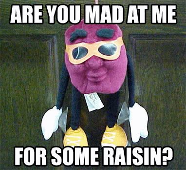 are-you-mad-at-me-for-some-raisin.jpg