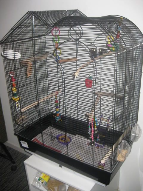 03b4802c.jpg?t=1268040350