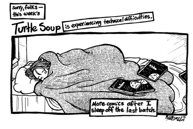 diary comic says zzzzz