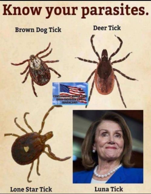 KnowYourTicks_zpsgr3uxuvc.jpg