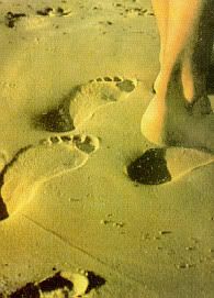 huellas1.jpg picture by PASION_07