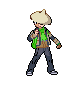 Ash's Infernape's Sprite Gallery! [Image-heavy]