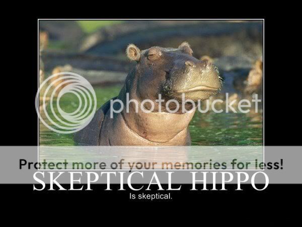 skeptical_hippo.jpg